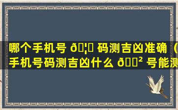 哪个手机号 🦋 码测吉凶准确（手机号码测吉凶什么 🌲 号能测100分）